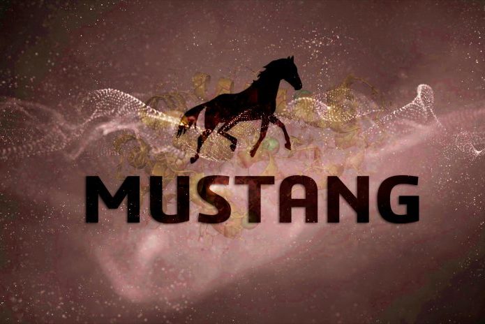 Alinhamento de estruturas 3D com o software MUSTANG