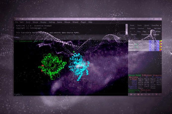 Alinhamento de estruturas 3D com PyMOL